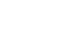 Betalenlink.nl Logo